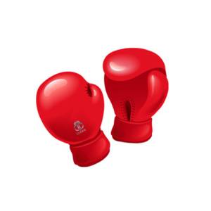 Boxing Gloves in Hibiscus Coast