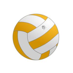 Netballs Manufacturers in Adelaide