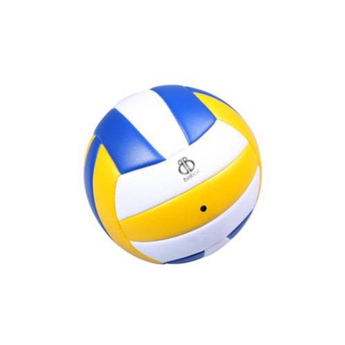 Volleyballs in Portland