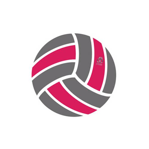 Netball NB3 Manufacturers, Suppliers in Abbotsford