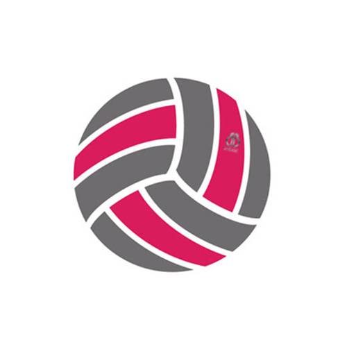 Netball NB3 Manufacturers, Suppliers in Warrnambool