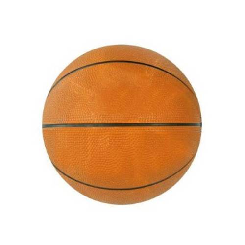 Outdoor Basketballs Manufacturers, Suppliers in Ingham