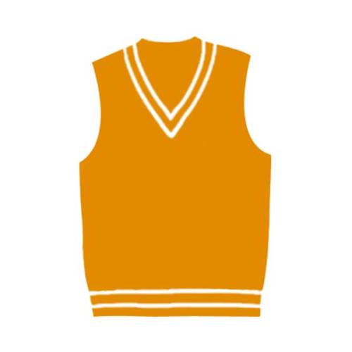 V Neck Vests Manufacturers, Suppliers in Moe Newborough