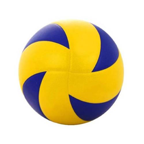 Volleyball Manufacturers, Suppliers in New Zealand